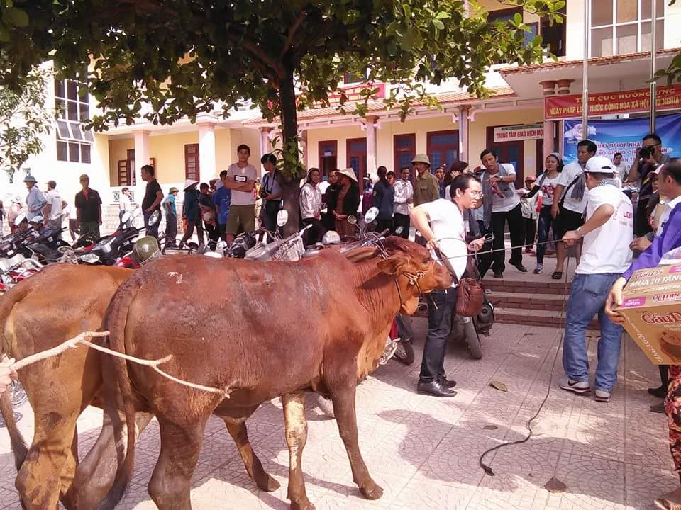 Những lưu ý mới cho các đoàn cứu trợ lũ lụt