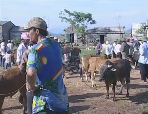 Chợ phiên Ba Đồn – nét văn hóa cổ