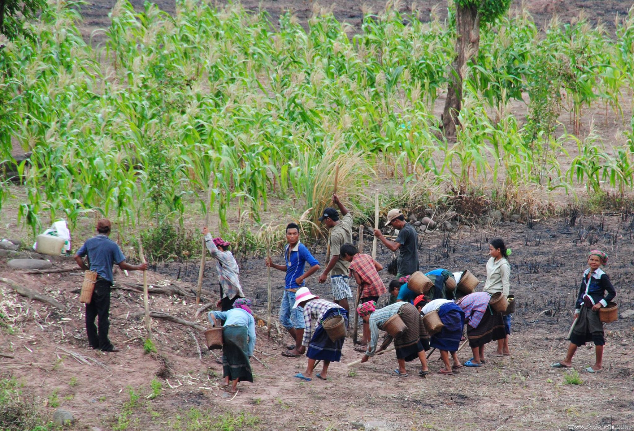 Danh sách 20 thôn bản xã Trường Sơn, Quảng Ninh, Quảng Bình cần cứu trợ gấp