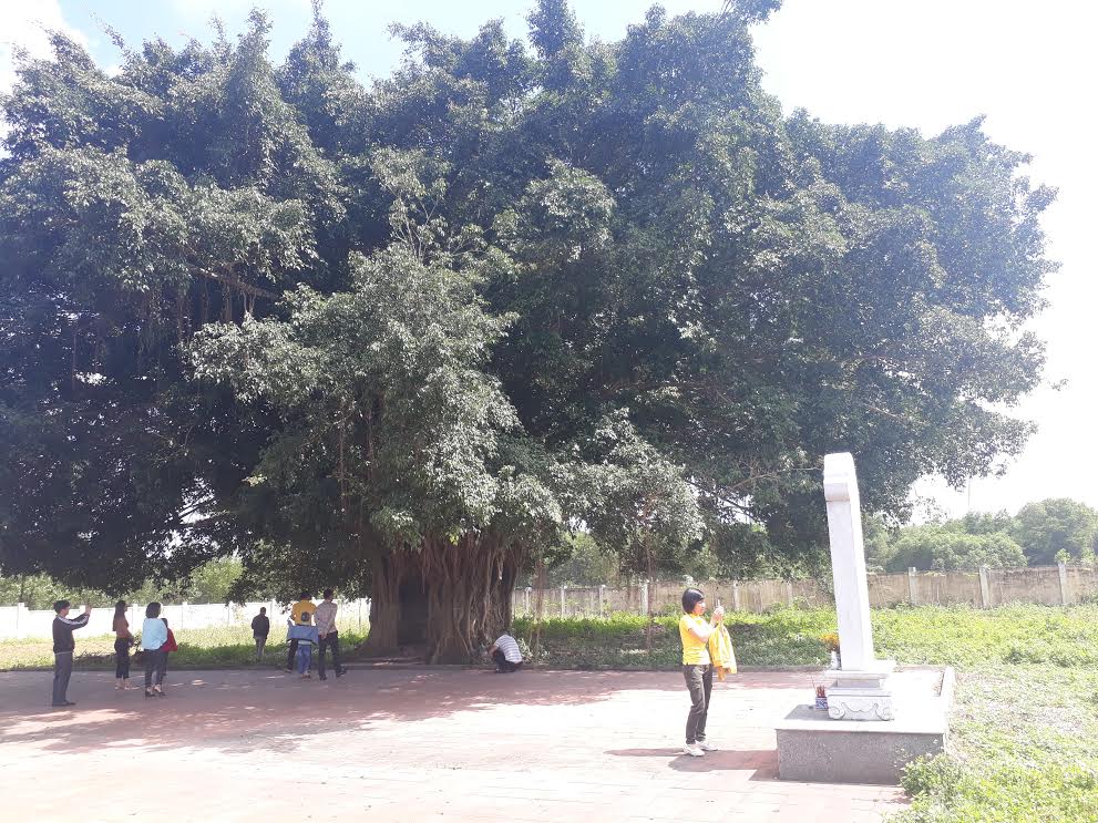 Kỳ bí cây sanh cổ thụ hàng trăm tuổi ôm trọn ngôi miếu thiêng