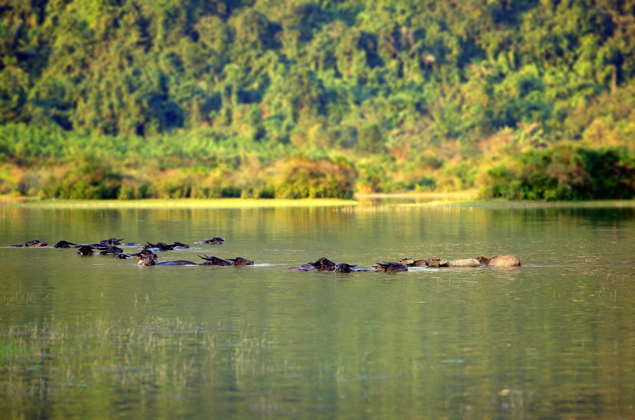 Đến 'mỏ vàng' của điện ảnh, thưởng ngoạn phim trường tuyệt sắc của Kong: Skull Island