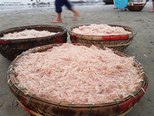 Ruốc muối – Đặc sản đi cùng năm tháng Quảng Bình