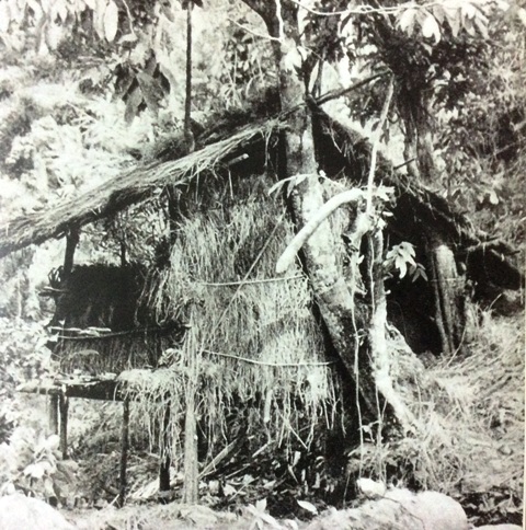 Chỉ huy trưởng Đội Việt Nam tuyên truyền giải phóng quân (Bài 6)