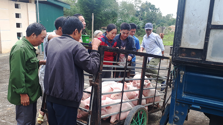 Công tác giảm nghèo ở Minh Hóa: Xóa dần tư tưởng