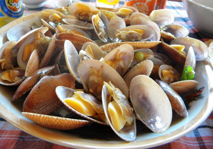 Điều ít biết về con chem chép biển, đặc sản Quảng Bình