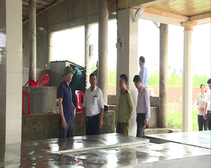 Đồng Hới: Kiểm tra công tác phòng, chống bệnh dịch tả lợn châu Phi