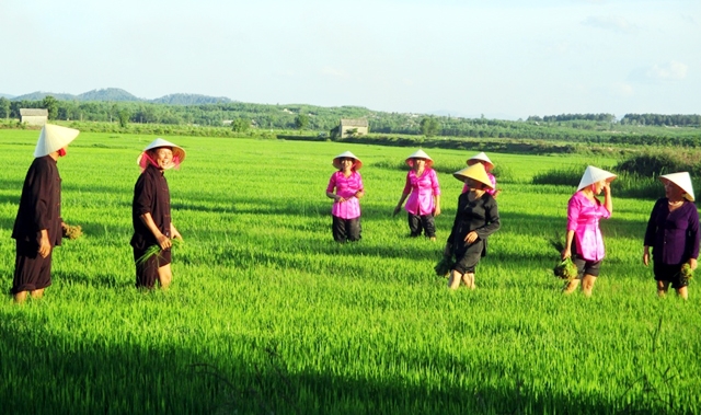 Hò khoan Lệ Thủy