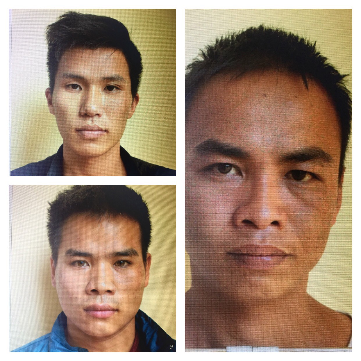3 đối tượng gồm: Nguyễn Hữu Khởi, Trần Nam Thắng và Trần Xuân Anh.