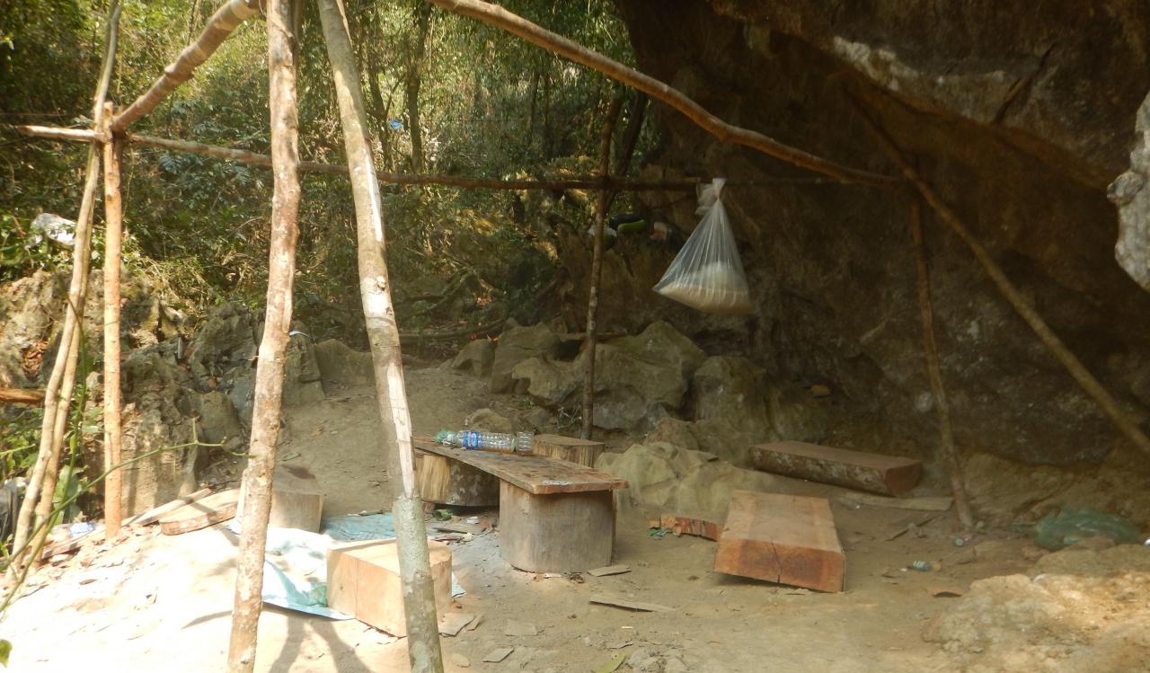 Lập đoàn liên ngành điều tra vụ phá rừng di sản Phong Nha - Kẻ Bàng