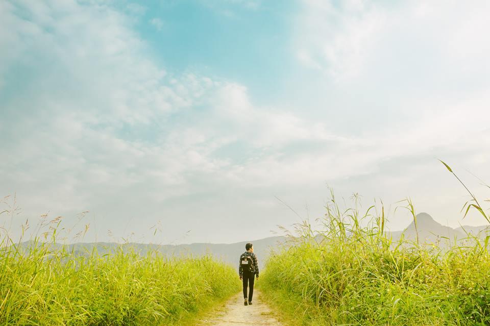 Ở Quảng Bình có một đồng cỏ lau xanh mướt đẹp quên lối về