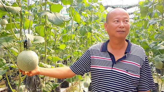 Làm ruộng kiểu