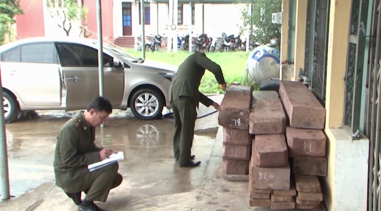 Minh Hóa tăng cường công tác quản lý, bảo vệ và phát triển rừng Minh Hóa tăng cường công tác quản lý, bảo vệ và phát triển rừng