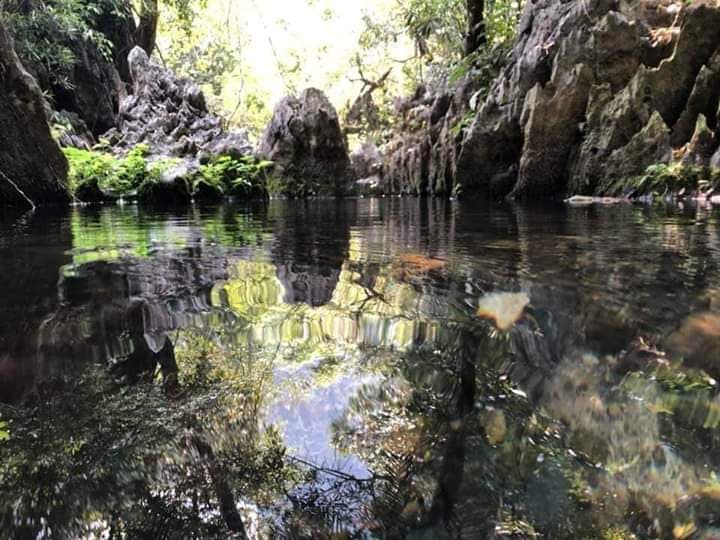 65690701_2233755660288334_7286678894046871552_n-19