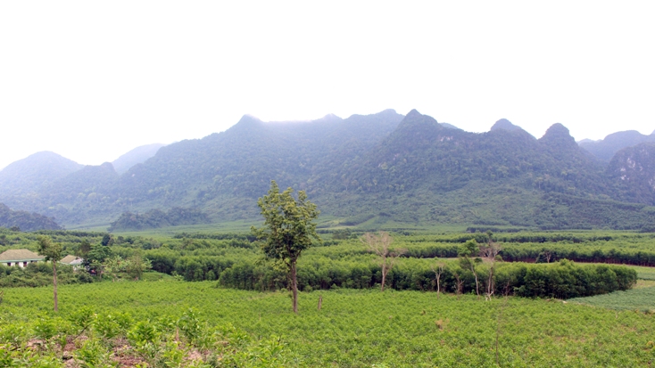 Chà Nòi... một thời thương nhớ