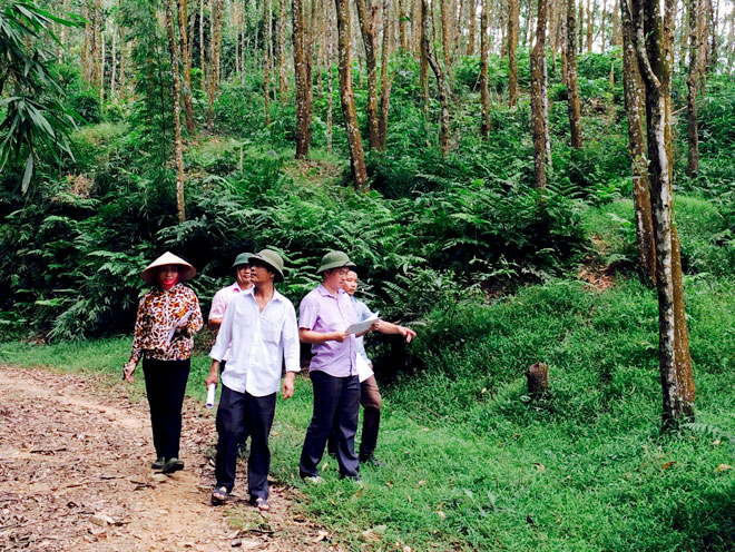 Chú trọng thực hiện công tác cắm mốc ranh giới đất nông, lâm nghiệp Chú trọng thực hiện công tác cắm mốc ranh giới đất nông, lâm nghiệp