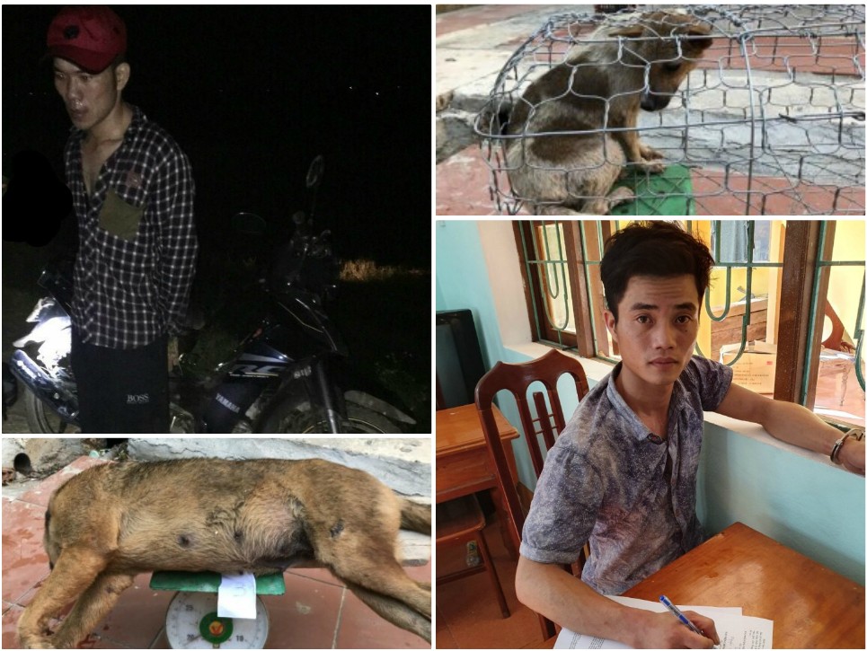 Công an huyện Lệ Thủy bắt giữ 02 đối tượng trộm động vật nuôi Công an huyện Lệ Thủy bắt giữ 02 đối tượng trộm động vật nuôi