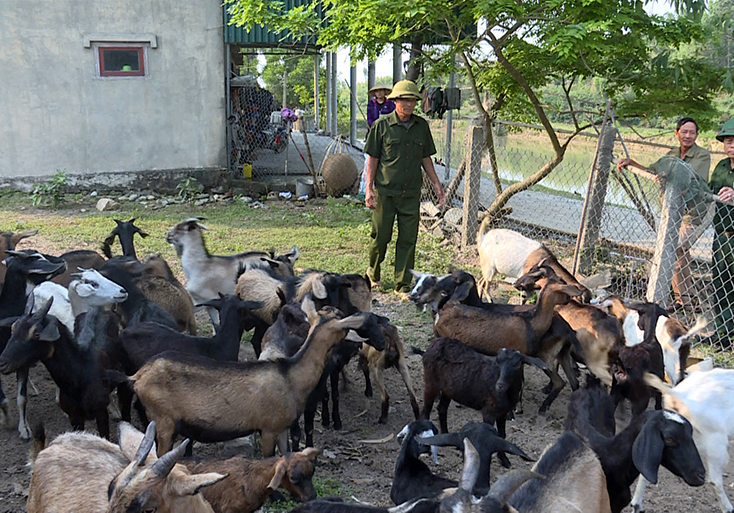 Cựu chiến binh Quảng Trạch: Gương mẫu trong các phong trào, thi đua