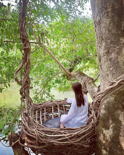 Khu trò chơi trên cây dài nhất Việt Nam, hấp dẫn du khách ưa mạo hiểm Khu trò chơi trên cây dài nhất Việt Nam, hấp dẫn du khách ưa mạo hiểm