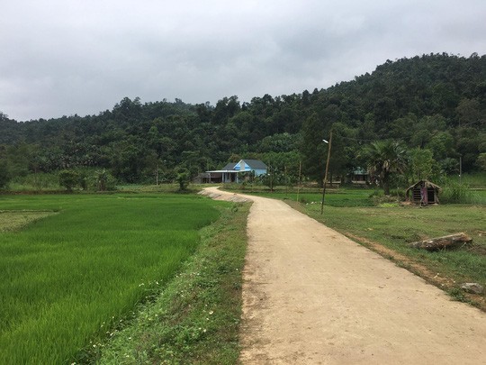 Lưu bản nháp tự động Lưu bản nháp tự động