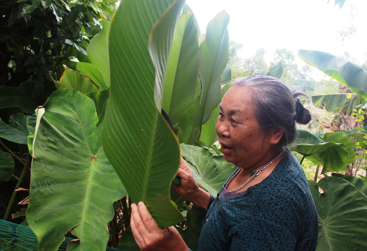 Những tấm gương