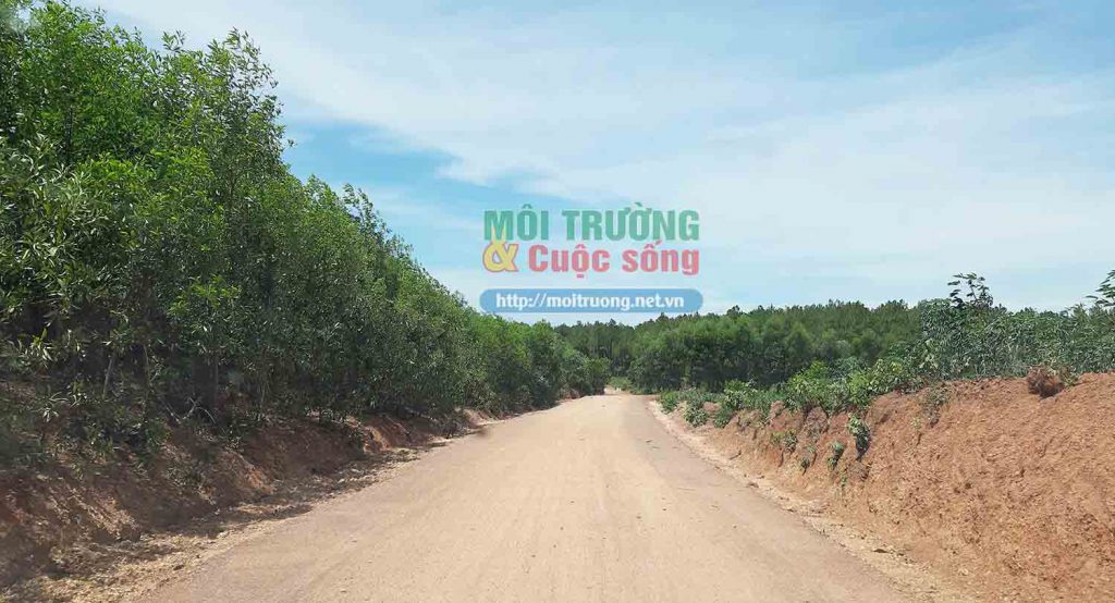 Quảng Bình: Doanh nghiệp sử dụng đất “lậu” để thực hiện dự án tiền tỷ? Quảng Bình: Doanh nghiệp sử dụng đất “lậu” để thực hiện dự án tiền tỷ?