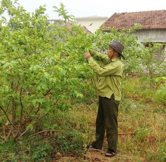 Quảng Bình: Mưa lớn chưa thể giải nhiệt khắp vùng