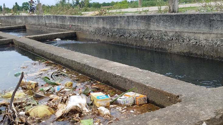 Tân Ninh: Kênh dẫn nước