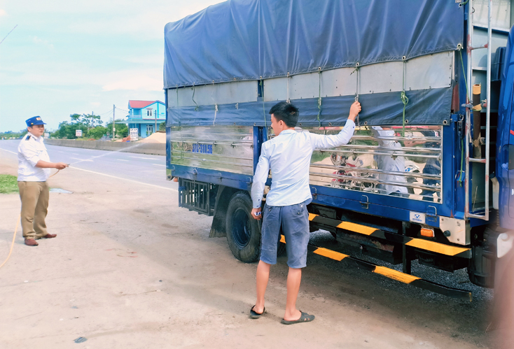Tích cực khoanh vùng, chống bệnh dịch tả lợn châu Phi