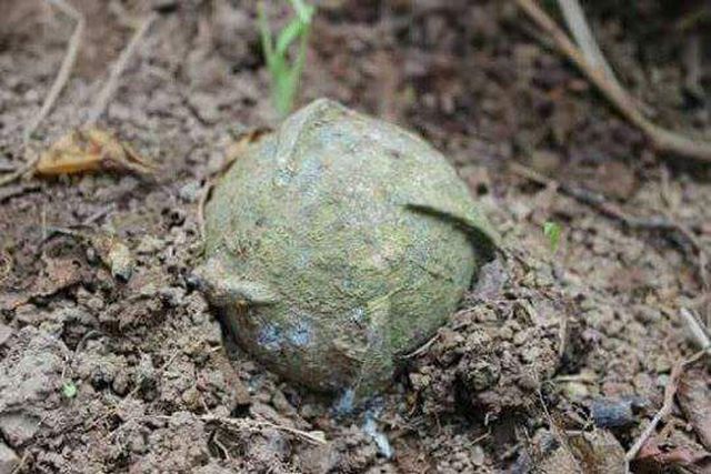 Tuyên Hóa: Bơm nước phục vụ thủy lợi, tá hỏa phát hiện hơn 100 quả bom dưới sông