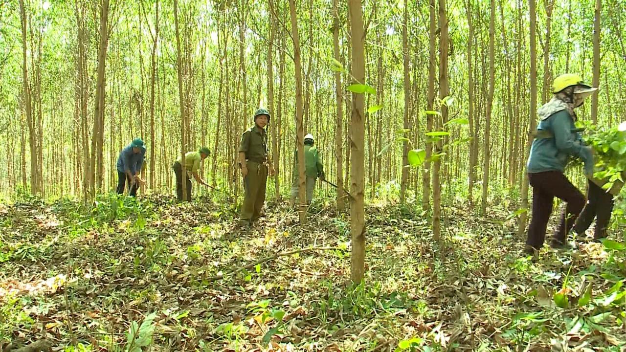Tuyên Hóa chủ động công tác phòng cháy chữa cháy rừng