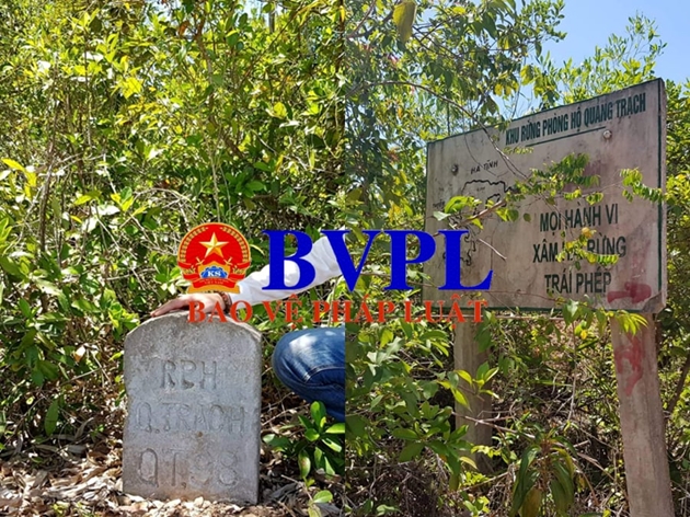 “Rừng phòng hộ ở Quảng Bình bị lâm tặc ngang nhiên xẻ thịt