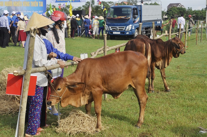 Năm 2018, Quảng Bình có 17.298 hộ nghèo và 23.392 hộ cận nghèo Năm 2018, Quảng Bình có 17.298 hộ nghèo và 23.392 hộ cận nghèo