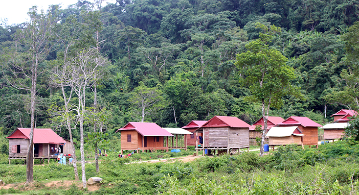 Những
