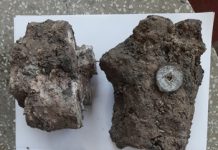 770kg đồng xu được trục vớt ở Quảng Đông có niên đại thời vua Gia Long và Minh Mạng