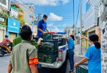 Gửi ân tình vào tâm dịch