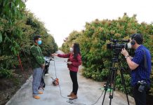 Cần trợ lực cho báo chí để phát huy sức mạnh ‘vaccine tinh thần’