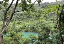 Du khách trải nghiệm ở tuyến du lịch sông Chày-hang Tối.