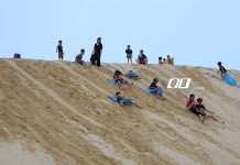 Du khách thích thú với trải nghiệm trượt cát.