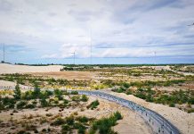 Coteccons Quảng Bình Marathon 2022 có đường chạy độc đáo xuyên qua cánh đồng điện gió. Ảnh: Phú Sơn