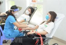 Tôn vinh 100 người hiến máu tiêu biểu toàn quốc năm 2022 Đoàn viên tham gia hiến máu. (Ảnh: Văn Dũng/TTXVN)