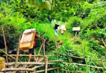 Ươm mầm xanh nơi vùng biên Vận chuyển vật liệu lên điểm trường K-Oóc