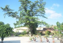 Khuôn viên chùa Cảnh Tiên hiện tại.