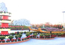 Thành phố hoàn thành trang trí khu nghệ thuật “Đồng Hới chào xuân” tại Quảng trường Hồ Chí Minh.