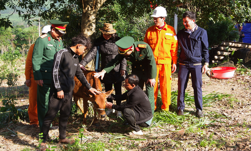 Tặng bò giống cho thanh niên Hồ Văn Thoái ở bản Khe Ngát, thị trấn Nông trường Việt Trung (Bố Trạch).