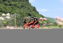 Du khách hào hứng “check-in” với hoa tam giác mạch ở Lèn Chùa Ecostay.