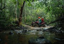 Tour mô tô địa hình khám phá rừng lim sẽ rất hấp dẫn đối với du khách.