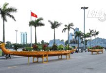 Các thuyền rồng tại khu vực quảng trường được bài trí nhiều loại hoa, tạo cảnh sắc tươi đẹp, hài hòa.