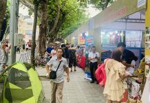 Festival Thu Hà Nội năm 2023 diễn ra tại Phố đi bộ hồ Hoàn Kiếm (TP. Hà Nội) đã diễn ra 