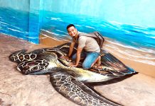 Cung đường bích họa Cảnh Dương (Quảng Trạch) là tâm nguyện của Trần Đình Luân, một người con Quảng Bình muốn làm đẹp cho quê hương.