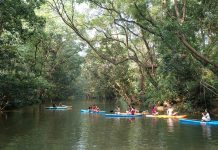 Ozo Park đang nỗ lực mỗi ngày để trở thành mô hình tiêu biểu về DL xanh bền vững tại Quảng Bình nói riêng và Việt Nam nói chung.